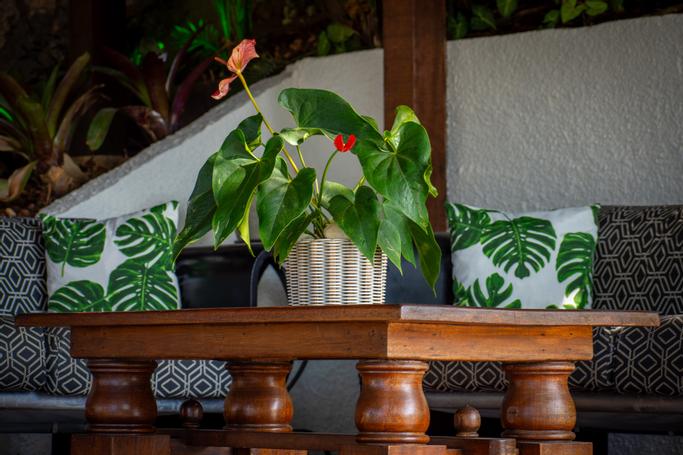 Latitud Hoteles | | Pousada Lestada